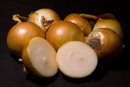 1000 Yellow Sweet Spanish Onion Heirloom Nongmo Onion Seeds BigFrom US  - $8.35