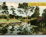 Duck Pond Beacon Hill Park Victoria BC Canada UNP DB Postcard F18 - £2.32 GBP