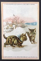 Weaver Organ &amp; Piano Patton&#39;s City Drug Store Tabby Cats Kittens Tiger S... - $20.00