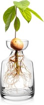 Yaoxianwu Glass Avocado Tree Flower Vases - Avocado Tree Growing Kit Flo... - $36.92