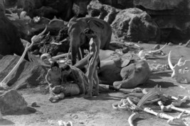 Johnny Weissmuller and Maureen O'sullivan in Tarzan The Ape Man in Elephant Grav - $23.99