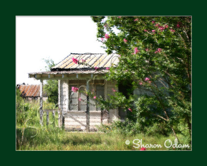 Old Deserted House ~ BH0023-1C ~ Fine Art Photography - $17.50