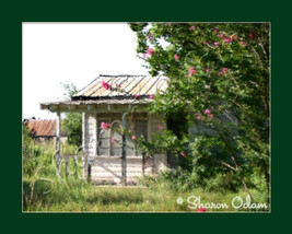 Old Deserted House ~ BH0023-1C ~ Fine Art Photography - £14.06 GBP