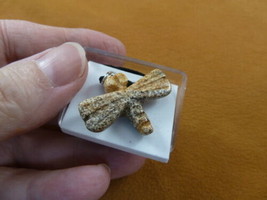 ann-drag-9) little tan Dragonfly gemstone carving PENDANT necklace Fetis... - $12.19