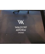Waldorf Astoria Chicago Shopping Bag Gift Bag Used Once - £7.81 GBP
