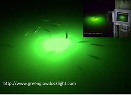 Saltwater Underwater Snook Light, Underwater Fish Light, Fishing Light, 50&#39; - £298.57 GBP