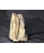 Petrified Wood Log Large Natural Decorative Crystal (02) - $59.85 CAD