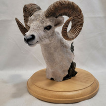 Simpkins Animal Dall Sheep / Ram Bust # 51476RB Wood Base 7&quot; Tall - £68.47 GBP