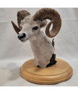 Simpkins Animal Dall Sheep / Ram Bust # 51476RB Wood Base 7&quot; Tall - $117.04 CAD