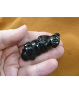 (Y-OTT-LA-716) Black Onyx Sea Otter gemstone carving figurine little bab... - $331.81 MXN