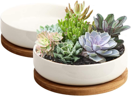 Succulent Pots, 6 Inch White Ceramic Flower Planter Pot with Bamboo Tray, Pack o - £21.79 GBP