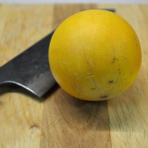 Vine Peach Melon, Mango Melon 10 seeds (V 041) - £2.39 GBP