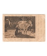 The White Cow Julien Dupre Raphael Tuck Art UDB Postcard 1905 Flag Cancel - $9.95
