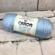 Caron Simply Soft-6 oz Acrylic Yarn Soft Blue - $5.93