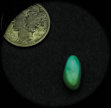 4.0 cwt High Dome Tortoise Mountain Turquoise Cabochon - $262.83 MXN