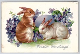 Easter Greetings Two Darling Bunny Rabbits Purple Flowers Egg Postcard O25 - £4.76 GBP