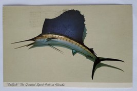 Postcard Sailfish The Greatest Sport Fish in Florida USA Ocean Wild Animal - £9.16 GBP