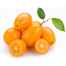 Hot New BELLFARM Kumquat Seeds, Golden Orange Cumquats Kinkan Golden Tangerine F - £4.60 GBP