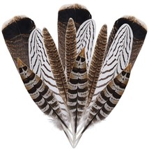 12Pcs Natural Pheasant Feathers 10-30Cm 4 Style Feathers Mixed Feathers ... - $13.99