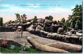 Antelope Pens Forest Park Zoo St Louis Missouri Postcard - £4.12 GBP