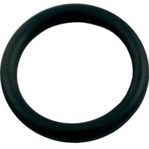 Jandy Zodiac 650500 Pool Cleaner O-Ring - $11.10
