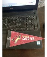 Mini Pennant Phoenix Coyotes - $70.10 MXN