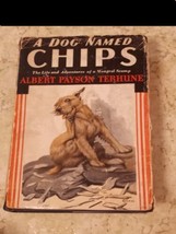 Albert Payson Terhune A Dog Named Chips Grosset &amp; Dunlap 1931 - £7.77 GBP