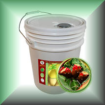 Item image 13