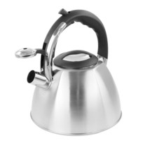 Mr. Coffee 3 Quart Stainless Steel Whistling Tea Kettle - £50.05 GBP