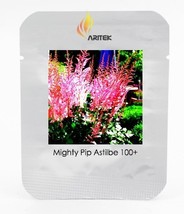 Mighty Pip Astilbe Perennial Flower Seeds  Professional Pack  100 Seeds / Pack   - $5.67