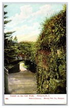 Tunnel on Cliff Walk Newport Rhode Island RI 1910 DB Postcard T5 - $2.92