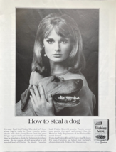 1966 Friskies Mix Vintage Print Ad How To Steal A Dog Woman And Best Friend - £11.50 GBP