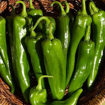 HS  25 Seeds Sonora Chile Pepper Garden Vegetables Planting Edible Food - $4.56