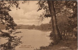 Silver Lake White Plains NY by Wm J Bryan Postcard B26 - £10.35 GBP