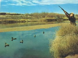 1970 Arcadia , Mo, Duck Hunting with Decoys from Blind. Hunting in Iron ... - £6.07 GBP