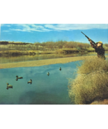 1970 Arcadia , Mo, Duck Hunting with Decoys from Blind. Hunting in Iron ... - £6.15 GBP
