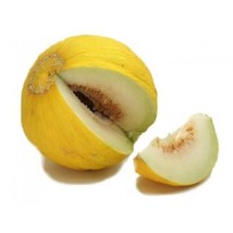 USA SELLER New 50 Golden Beauty Casaba Melon Cucumis Melo Fruit Seeds - $12.90