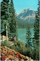 Emerald Lake Field British Columbia Canada Postcard - £4.11 GBP