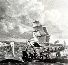 Whaling Ships Davis Straits 1926 Nautical Antique Print Whale Hunting DWW4B - $458.41 MXN