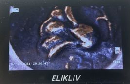 Item image 10