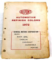 1972 GM Buick/Chevrolet/Olds/Pontiac/Cadillac Exterior Chips 646a - €7,47 EUR