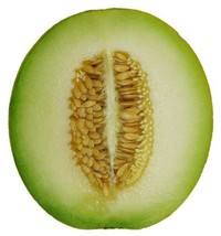 75 Seeds Green Flesh Rocky Ford Cantaloupe Cucumis Melo Plant Heirloom Seeds See - $9.90