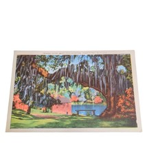 Postcard Spanish Moss Middleton Gardens Charleston South Carolina Linen ... - $4.49