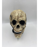 Halloween Rubber Skeleton Face Slip On Mask Unbranded Mesh Eyes and Nose - $15.99