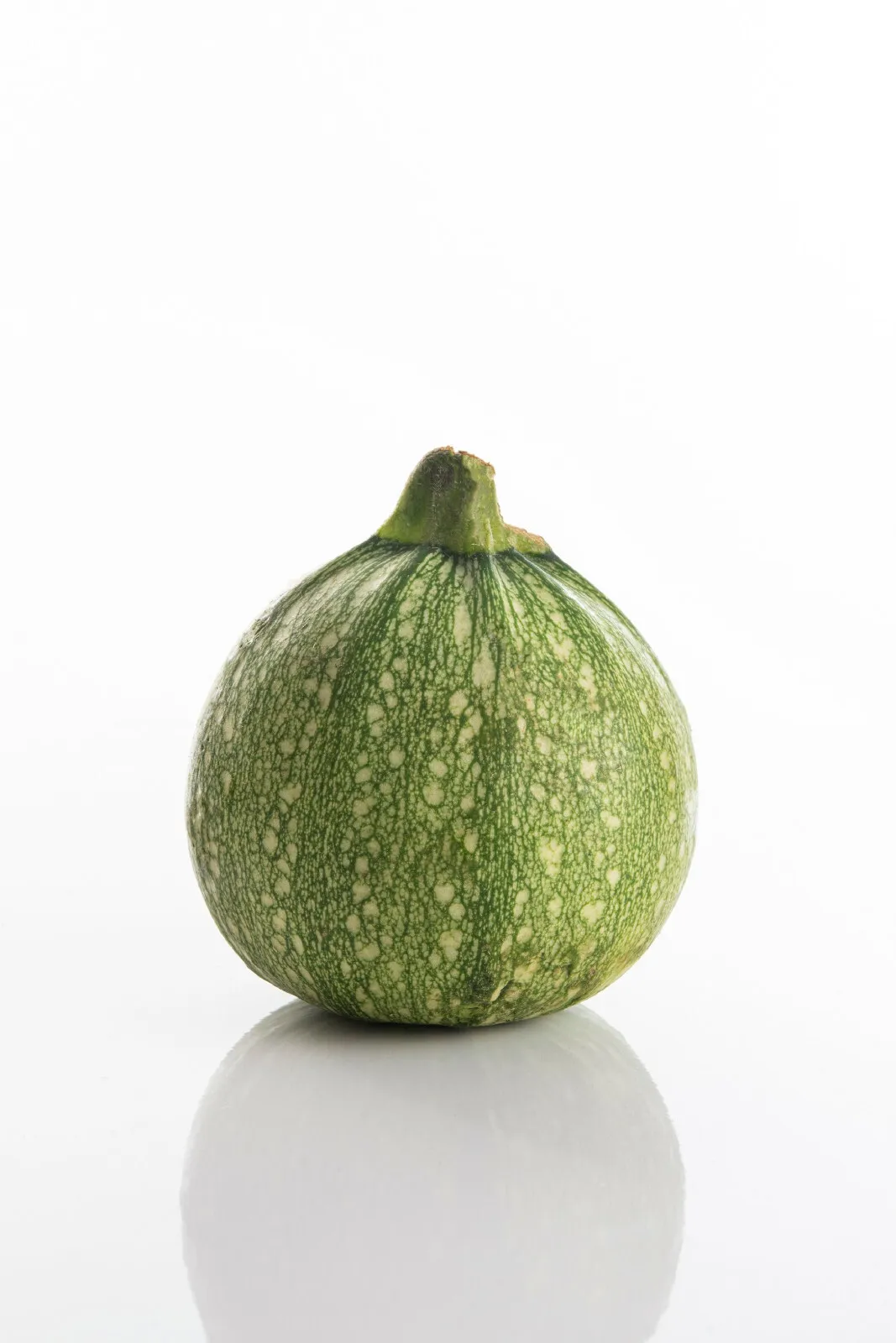 50 Round Zucchini Summer Squash Seeds Non GMO Heirloom Vegetable USA Seller - $8.78