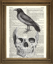 VINTAGE DICTIONARY PAGE PRINT: Death Skull &amp; Black Crow / Raven Poe Anti... - £6.27 GBP