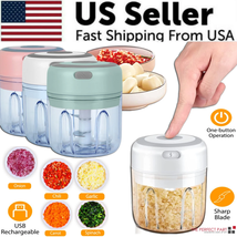 Electric 300ML Garlic Press and Food Chopper -Mini Blender for Chili, Onion - $24.33