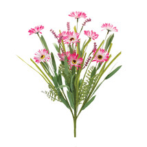 Mixed Daisy Bush (Set of 2) - $47.12