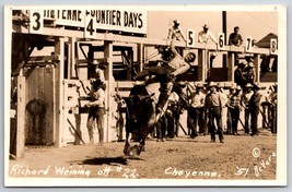 RPPC Richard Weining Rodeo Bull Rider Cheyene Frontier Days DeVere Postcard K9 - £44.00 GBP