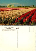 Arizona Pheonix Japanese Flower Gardens Red White Purple Flowers VTG Postcard - £7.51 GBP